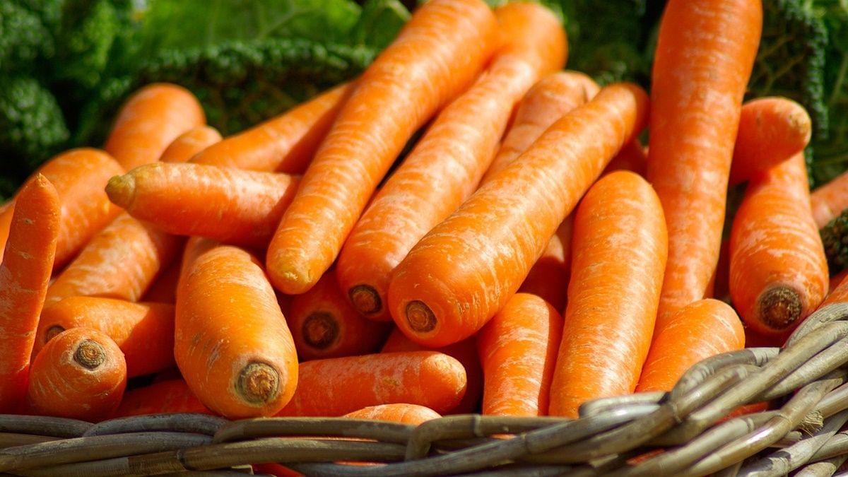 Carrot
