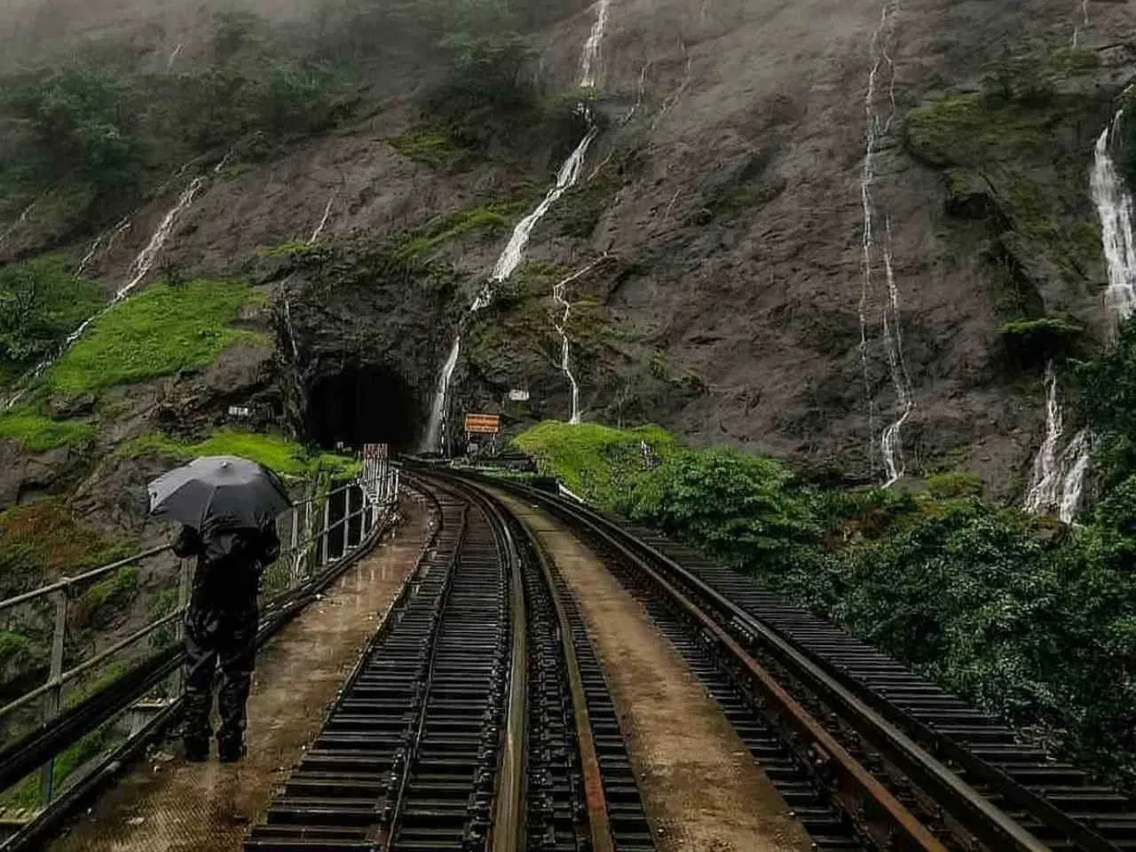 ദൂദ്സാഗർ റെയിൽവേ സ്റ്റേഷൻ: ഗോവയിലെ തെക്കൻ ഗോവ ജില്ലയിലാണ് ദൂദ്സാഗർ റെയിൽവേ സ്റ്റേഷൻ. ഇത് ദൂദ്സാഗർ വെള്ളച്ചാട്ടത്തിലേക്കുള്ള പ്രവേശനം നൽകുന്നു എന്നത് പ്രധാന പ്രത്യേകതയാണ്. (Photo credit: India Rail Info)