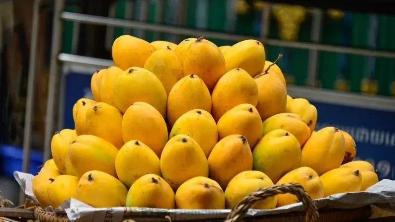 മാമ്പഴം: മാമ്പഴത്തിൽ പഞ്ചസാര അടങ്ങിയിട്ടുള്ളതിനാൽ, രാത്രി ഇവ കഴിക്കുന്നത് രക്തത്തിലെ പഞ്ചസാരയുടെ അളവ് കൂടാൻ കാരണമാകുന്നു.