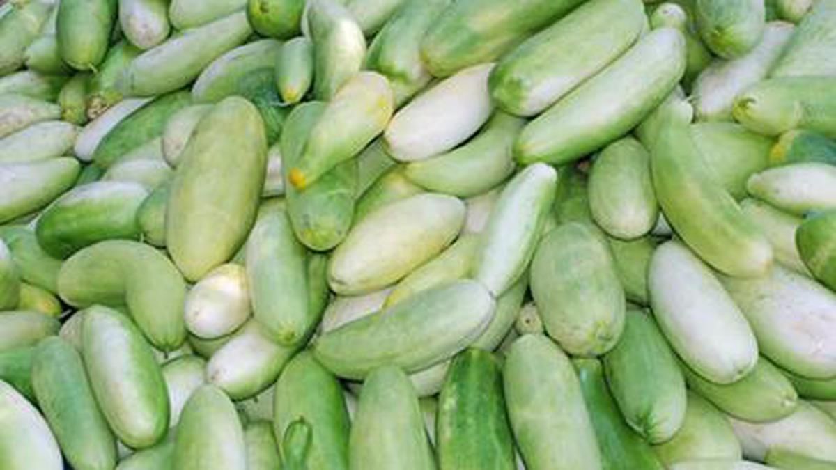 ധാരാളം ആന്റിഓക്സിഡന്റുകൾ അടങ്ങിയ ഒന്നാണ് പൊട്ടവെള്ളരി ജ്യൂസ്. കരളിന്റെയും വൃക്കയുടെയും ആരോഗ്യത്തിനും നല്ലതാണ്