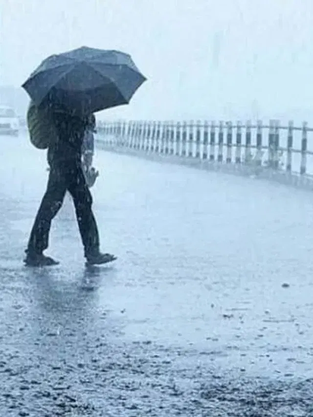 Kerala rain alert : മഴ ഇന്നും തുടരും; രണ്ടു ജില്ലകളിൽ 11 ജില്ലകളിൽ അലർട്ട്