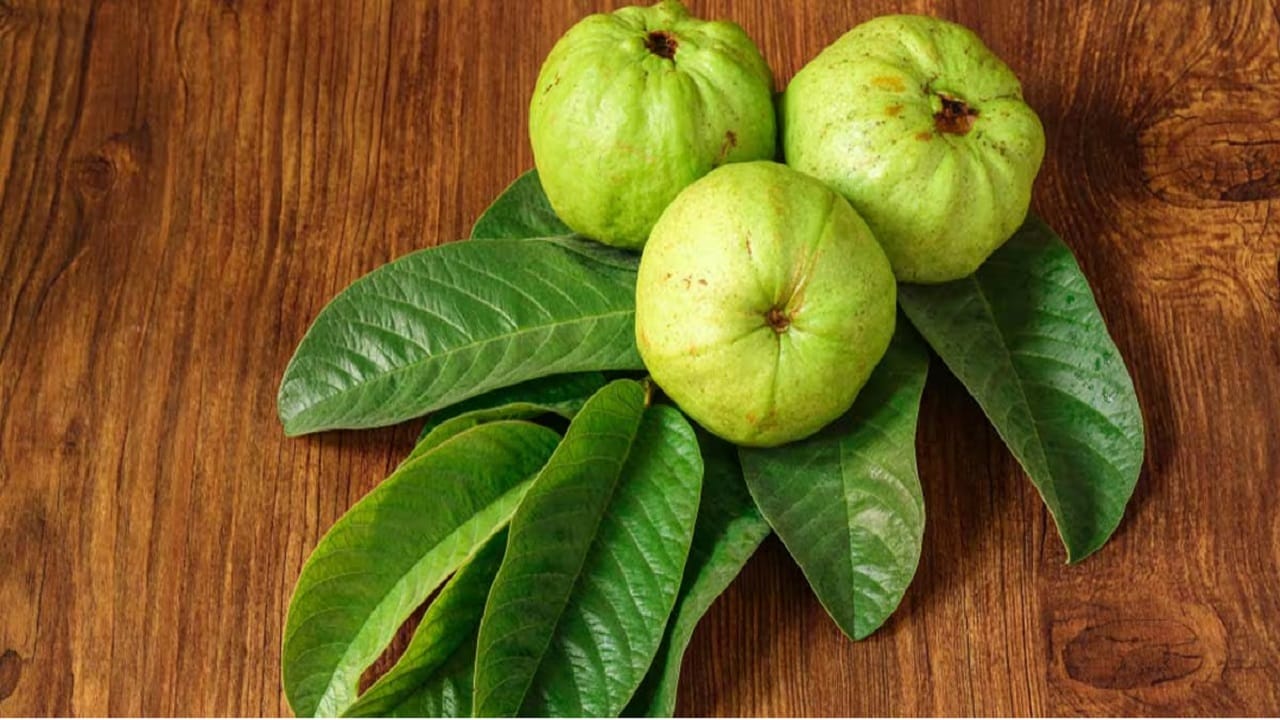 Guava Benefits