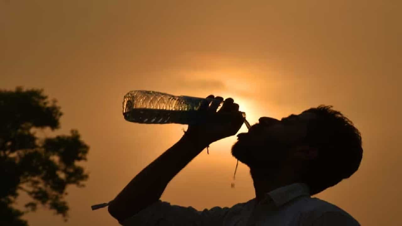 Kerala Weather Update: വെന്തുരുകി കേരളം! ആറു ജില്ലകളില്‍ താപനില മുന്നറിയിപ്പ്