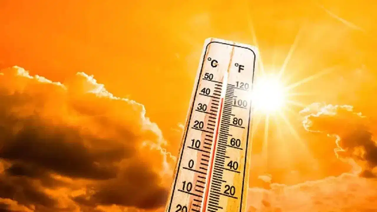 Heat waves in Kerala: സംസ്ഥാനത്ത് ചൂട് കനക്കും; 12 ജില്ലകളിൽ യെല്ലോ അലർട്ട്