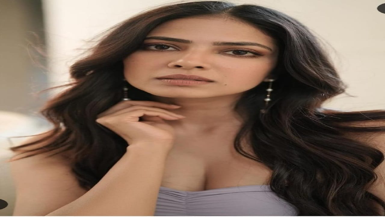 കഴിഞ്ഞ വര്ഷം പുറത്തിറങ്ങിയ ക്രിസ്റ്റിയാണ് മാളവികയുടെ അവസാന ചിത്രം.