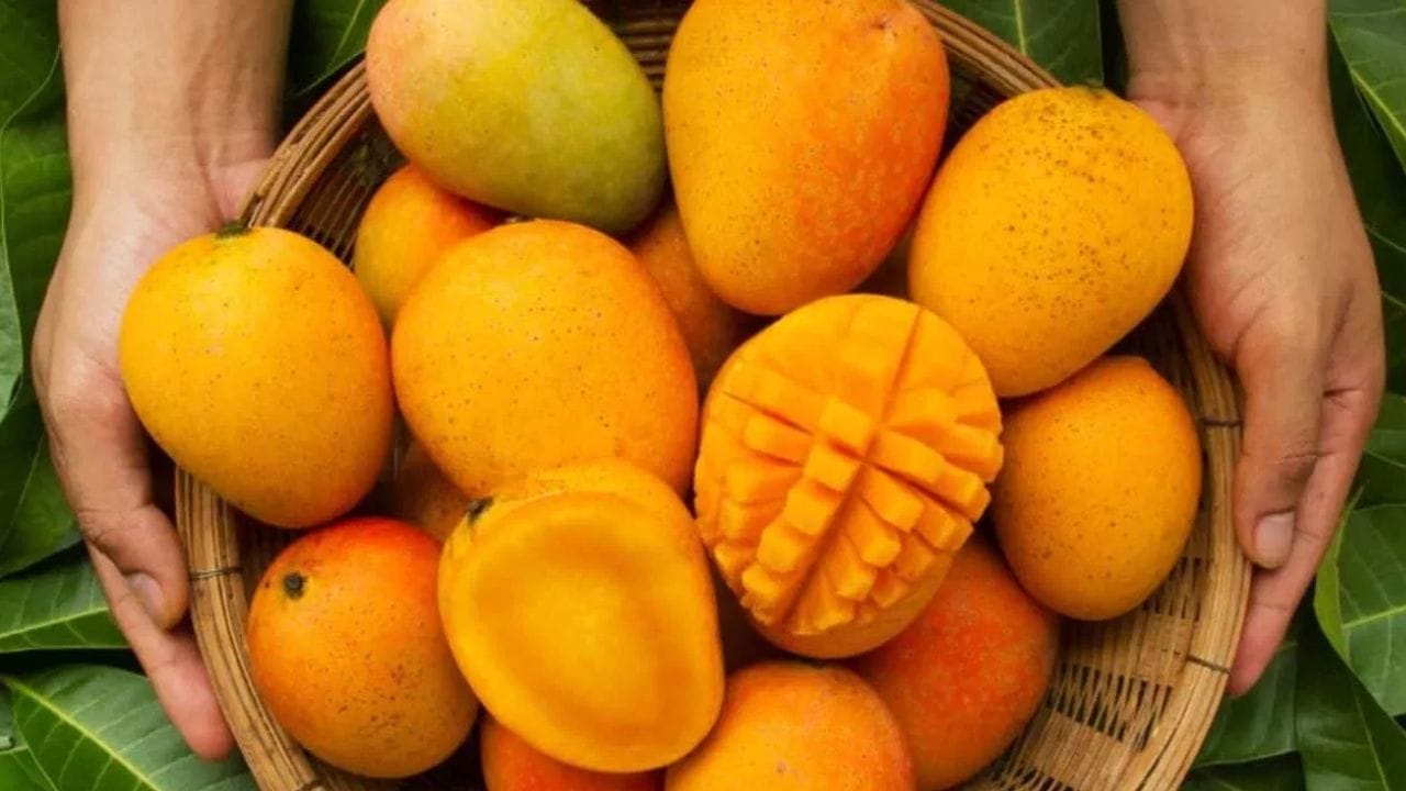 എല്ലാവരുടെ വീട്ടിലും ഇപ്പോള്‍ മാമ്പഴമുണ്ടായിരിക്കും. കഴിച്ച് കഴിച്ച് മടുക്കുമ്പോള്‍ നമുക്ക് തോന്നും ഇതുവെച്ച് എന്തെങ്കിലും ഉണ്ടാക്കിയോലോയെന്ന്. അങ്ങനെ തോന്നുന്നവര്‍ക്ക് പറ്റിയ ഒരു റെസിപ്പിയാണ് താഴെ കൊടുത്തിരിക്കുന്നത്.