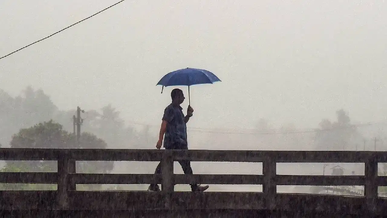kerala monsoon: 24 മണിക്കൂറിൽ കാലവർഷമെത്തും ; ഇടിമിന്നലിനും കാറ്റിനും സാധ്യത