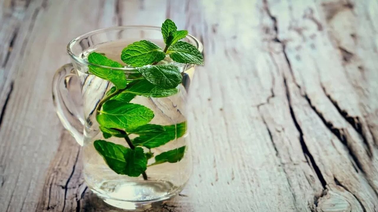 പുതിനയിലയിൽ അടങ്ങിയിരിക്കുന്ന മെന്തോൾ ദഹനവ്യവസ്ഥയെ എല്ലാ വിധത്തിലും സഹായിക്കുന്നു