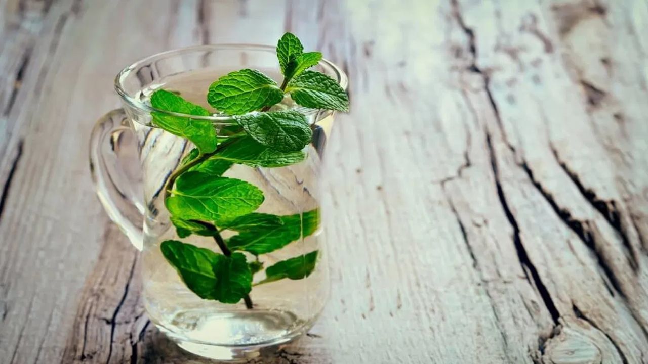 പുതിനയിലയിൽ അടങ്ങിയിരിക്കുന്ന മെന്തോൾ ദഹനവ്യവസ്ഥയെ എല്ലാ വിധത്തിലും സഹായിക്കുന്നു