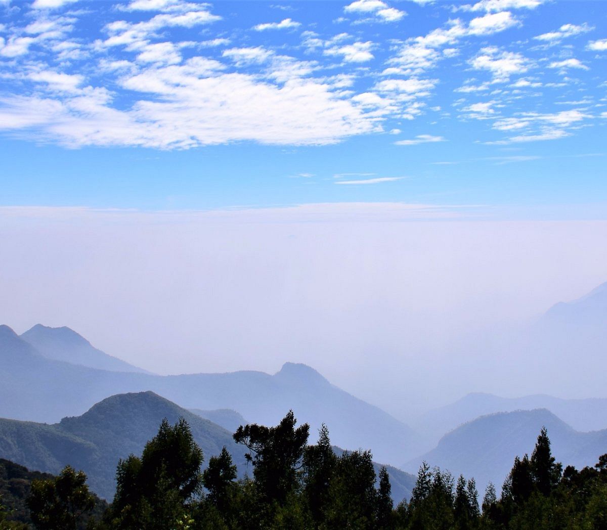 കഴിഞ്ഞവര്‍ഷംമാത്രം 29,730 പേര്‍ ദേശീയോദ്യാനം സന്ദര്‍ശിച്ചു. ഇക്കഴിഞ്ഞ ജനുവരിയില്‍ 3000, ഫെബ്രുവരിയില്‍ 2300, മാര്‍ച്ചില്‍ 1700 എന്നിങ്ങനെ സന്ദര്‍ശകരുമെത്തി.