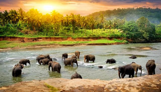 വെണ്ടയ്ക്ക ഇട്ട വെള്ളം ഇങ്ങനെ കുടിക്കൂ ​ഗുണങ്ങൾ ഏറെയാണ്