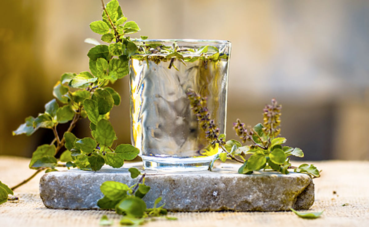 ജലദോഷം, ചുമ തുടങ്ങിയ ലക്ഷണങ്ങൾ ഉള്ളവർ തുളസി വെള്ളം കുടിച്ചാൽ ആ പ്രശ്‌നങ്ങളിൽ നിന്ന് മോചനം ലഭിക്കും.