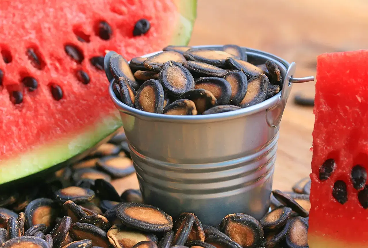 തണ്ണിമത്തൻ കുരു ഡയറ്റിൽ ഉൾപ്പെടുത്തുന്നത് എല്ലുകളുടെ ആരോഗ്യത്തിനും നല്ലതാണ്. മഗ്നീഷ്യം, ചെമ്പ്, പൊട്ടാസ്യം എന്നിവ അടങ്ങിയിരിക്കുന്നതിനാൽ ഇവ ഓസ്റ്റിയോപൊറോസിസ് സാധ്യത കുറയ്ക്കാൻ സഹായിക്കും. 
