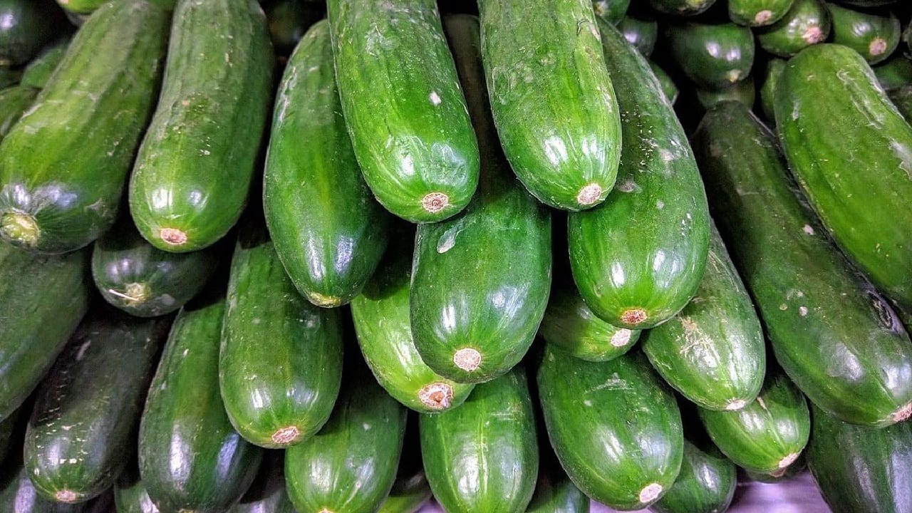 ആന്റി ഓക്സിഡന്റുകളുടെ കലവറയാണ് വെള്ളരിക്ക. ഫൈബര്, വിറ്റാമിന് കെ, വിറ്റാമിന് സി, മഗ്നീഷ്യം, കാത്സ്യം, ഇരുമ്പ്, ഫോസ്ഫറസ്, സിങ്ക് തുടങ്ങി ധാരാളം പോഷകങ്ങള് വെള്ളരിക്കയില് അടങ്ങിയിട്ടുണ്ട്. വിറ്റാമിനുകള് ധാരാളം അടങ്ങിയ ഇവ പതിവാക്കുന്നത് രോഗ പ്രതിരോധശേഷി കൂട്ടാനും സഹായിക്കും.