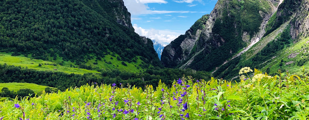 വാലി ഓഫ് ഫ്ലവേഴ്സ്:  യുനെസ്കോയുടെ ലോക പൈതൃക സ്ഥലംപൂക്കളുള്ള പുൽമേടുകൾഫോട്ടോഗ്രാഫർമാർക്ക് സ്വർഗ്ഗംഅപൂർവവും വംശനാശഭീഷണി നേരിടുന്നതുമായ മൃഗങ്ങളുടെ ആവാസകേന്ദ്രംഹിമാലയത്തിൻ്റെ പനോരമിക് കാഴ്ചകൾ