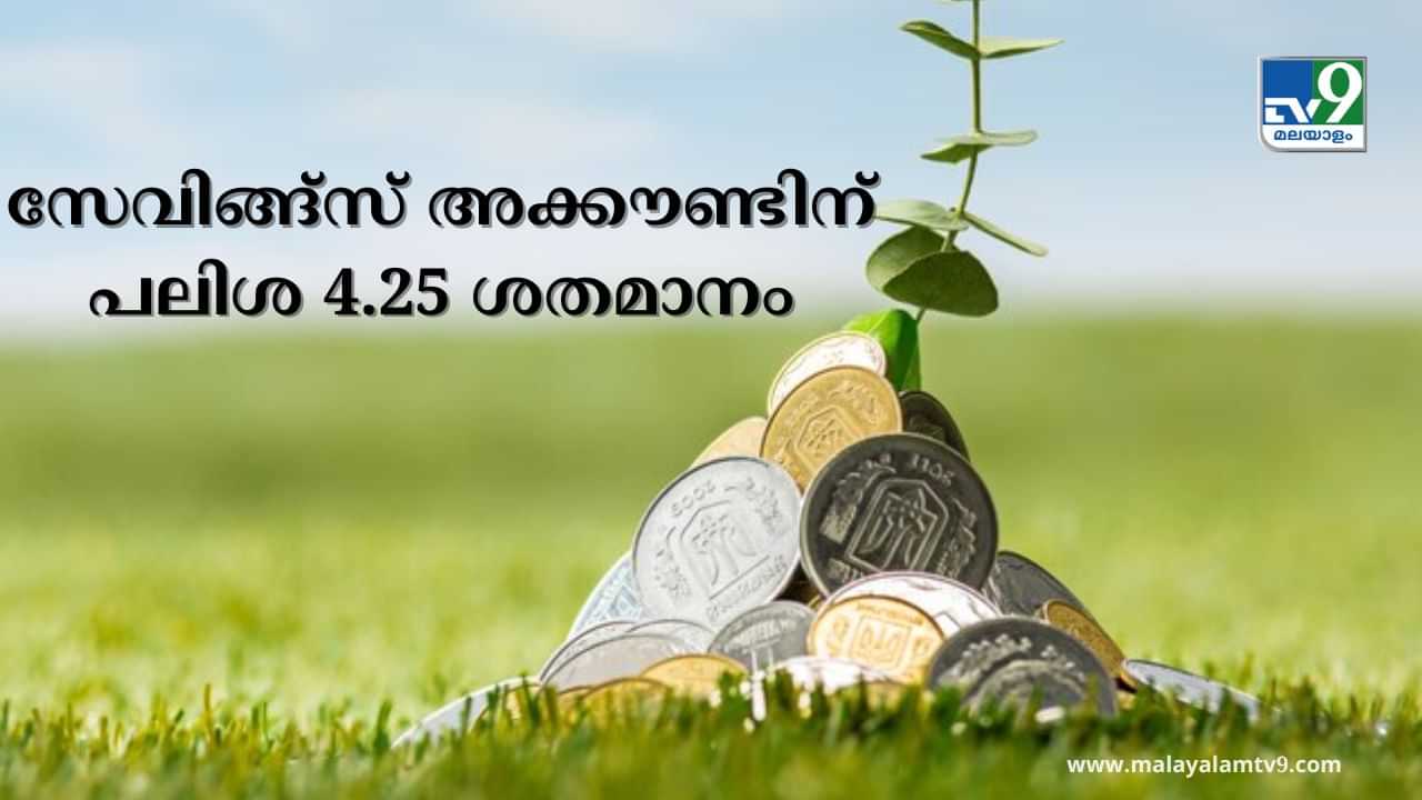 Best Savings Account: സേവിംഗ്സ് അക്കൗണ്ടിന് 4.25 ശതമാനം മുതൽ പലിശയോ? അയ്യോ ഞെട്ടി Best Savings Account: സേവിംഗ്സ് അക്കൗണ്ടിന് 4.25 ശതമാനം മുതൽ പലിശയോ? അയ്യോ ഞെട്ടി
