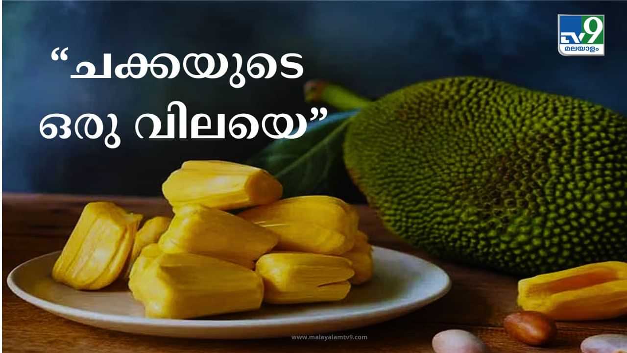 Jackfruit Price : കേരളത്തിൽ പുല്ല് വില, അതിർത്തി കടന്നാൽ തീവില; ചക്കയുടെ ഒരു വിലയെ