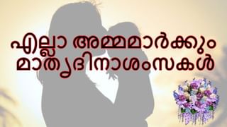 വിഷപ്പാമ്പുകൾ കാടിറങ്ങാൻ കാരണം കാലാവസ്ഥയോ? വിഷബാധയേൽക്കുന്നവരുടെ എണ്ണം കൂടിയേക്കും