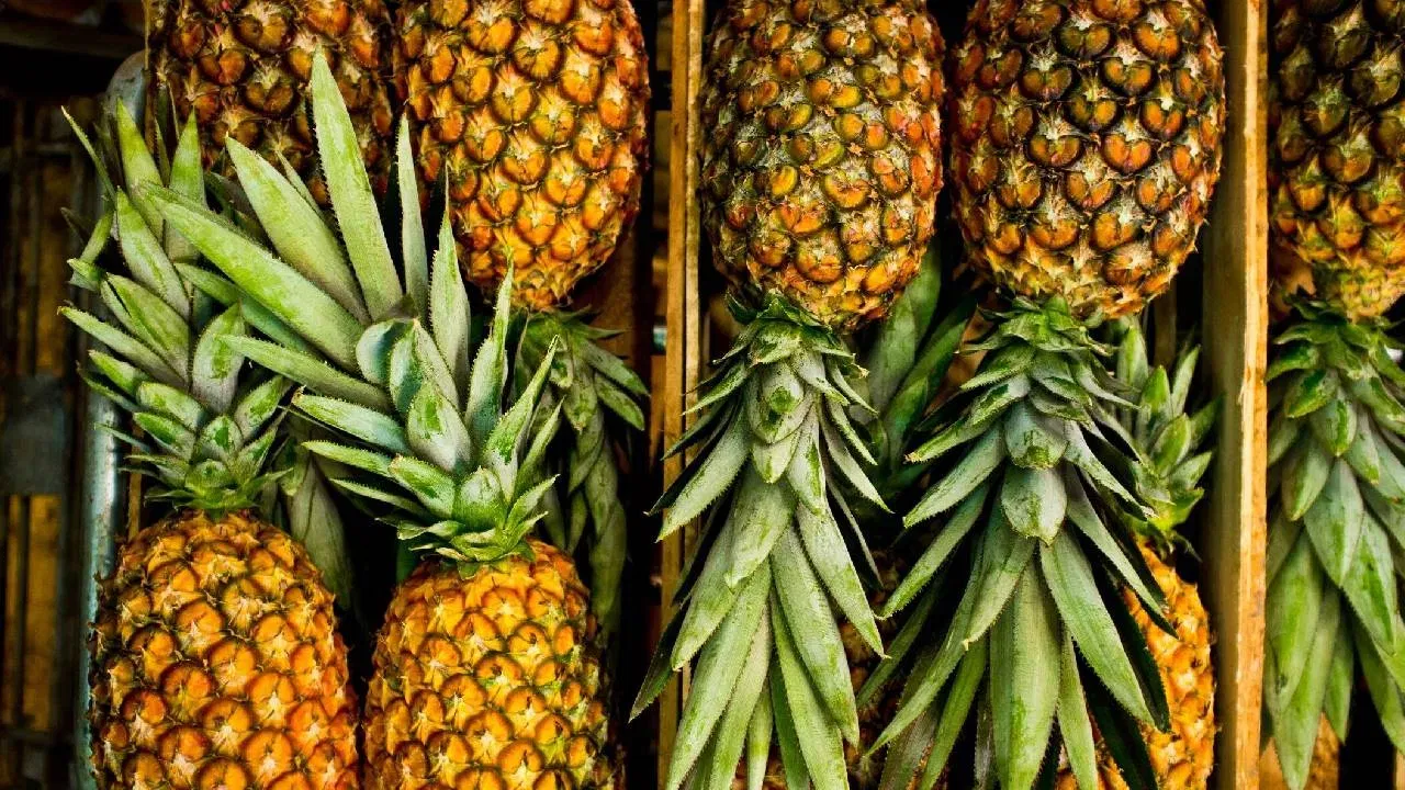 പൈനാപ്പിള്- പൈനാപ്പിള് ഫ്രിഡ്ജില് വെക്കാതിരുന്നാല് പെട്ടെന്ന് പഴുക്കും.