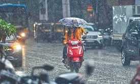 Monsoon Kerala: കാലവർഷം എത്തി; എല്ലാ ജില്ലകളിലും യെല്ലോ അലർട്ട്