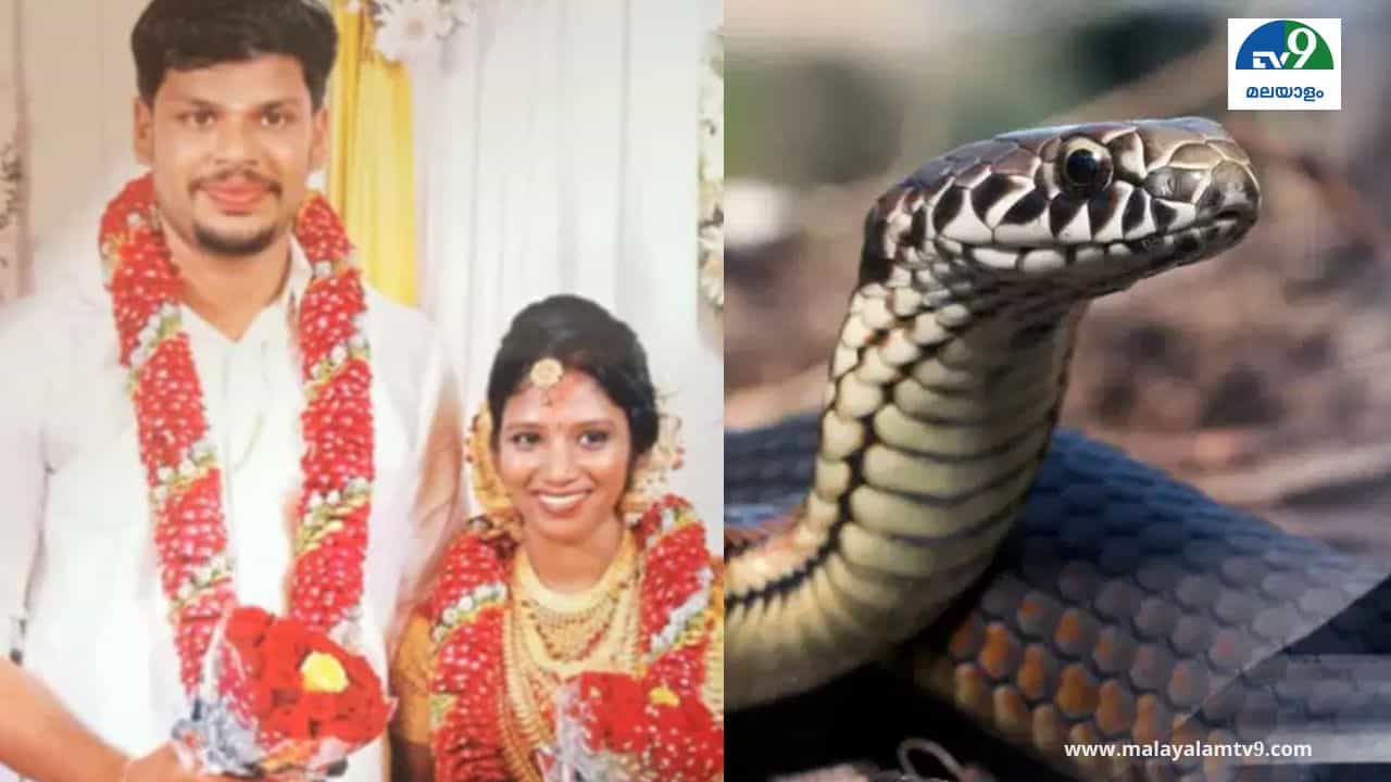 Uthra Murder Case: ഉത്ര വധക്കേസ് പുസ്തകമാകുന്നു, എഴുതുന്നത് മുൻ ഡിജിപിയും മകനും Uthra Murder Case: ഉത്ര വധക്കേസ് പുസ്തകമാകുന്നു, എഴുതുന്നത് മുൻ ഡിജിപിയും മകനും