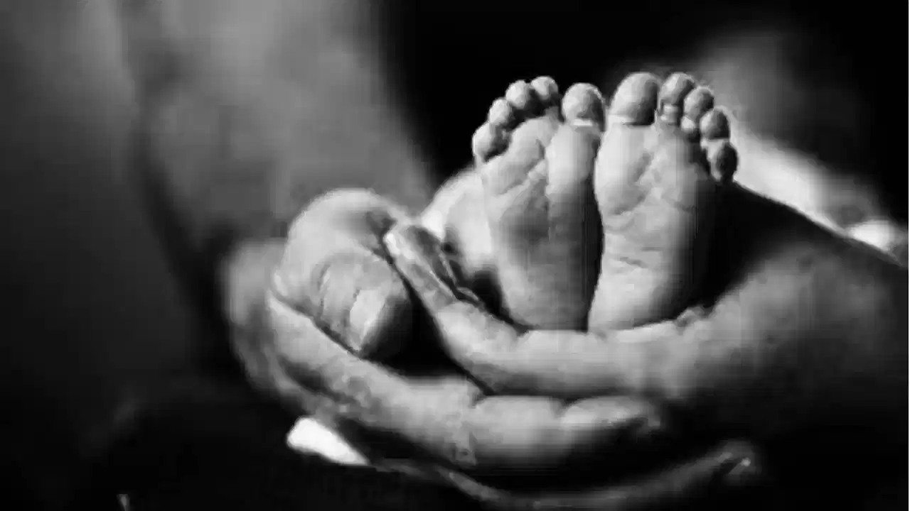 Kochi Newborn Baby Death : നവജാത ശിശുവിൻറെ മരണ കാരണം തലയോട്ടിക്കേറ്റ പരിക്കെന്ന് പ്രാഥമിക പോസ്റ്റുമോർട്ടം റിപ്പോർട്ട് Kochi Newborn Baby Death : നവജാത ശിശുവിൻറെ മരണ കാരണം തലയോട്ടിക്കേറ്റ പരിക്കെന്ന് പ്രാഥമിക പോസ്റ്റുമോർട്ടം റിപ്പോർട്ട്
