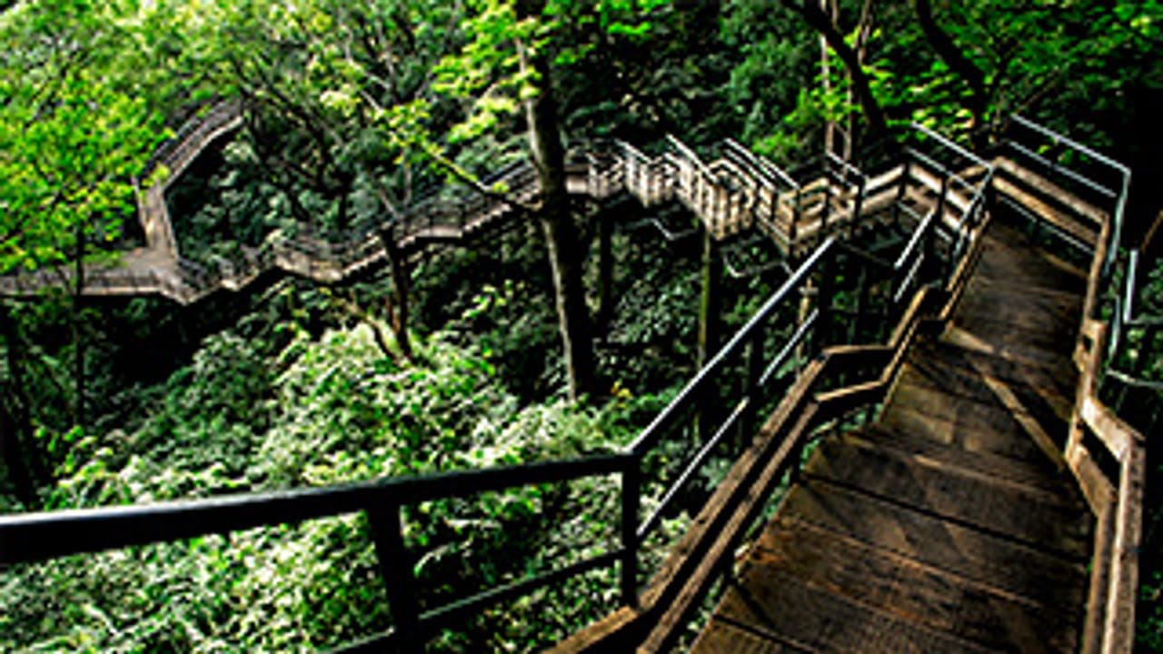 തെന്മല- കൊല്ലം ജില്ലയിലെ കിഴക്കുഭാഗത്തുള്ള പ്രകൃതി രമണീയമായ ഒരു മലയോര ഗ്രാമപ്രദേശം. ഇത് സഹ്യപർവതത്തിന്റെ പടിഞ്ഞാറേ അരികിൽ സ്ഥിതിചെയ്യുന്നു.ഇന്ത്യയിലെ ആദ്യ ഇക്കോ ടൂറിസം പദ്ധതി ആണ്‌ ഇത് (ഫോട്ടോ കടപ്പാട്: www.keralatourism.org)