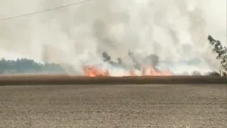 Jayarajan controversy: ബിജെപി നേതാക്കൾക്കെതിരെ ഡിജിപിക്ക് പരാതി നൽകി ഇപി ജയരാജൻ