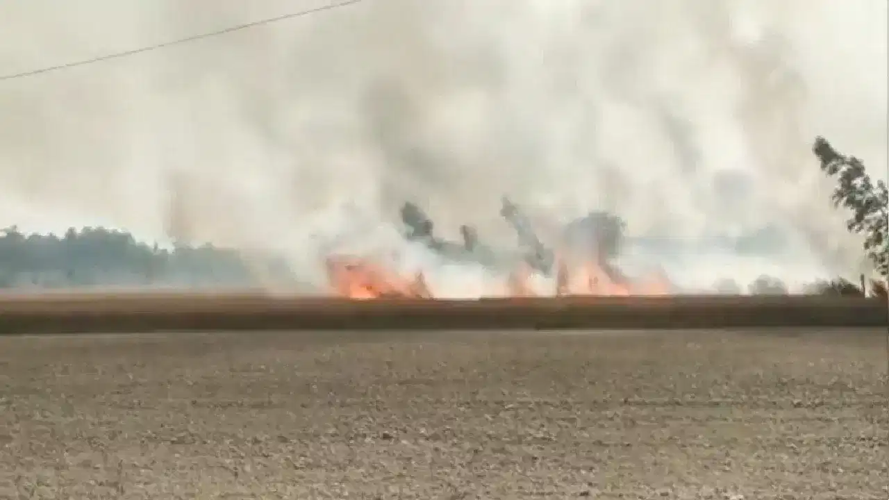 വേനൽച്ചൂട് കടുക്കുന്നു: കണ്ണൂരിലും തൃശ്ശൂരിലും ഏക്കർ കണക്കിനു ഭൂമി കത്തി നശിച്ചു