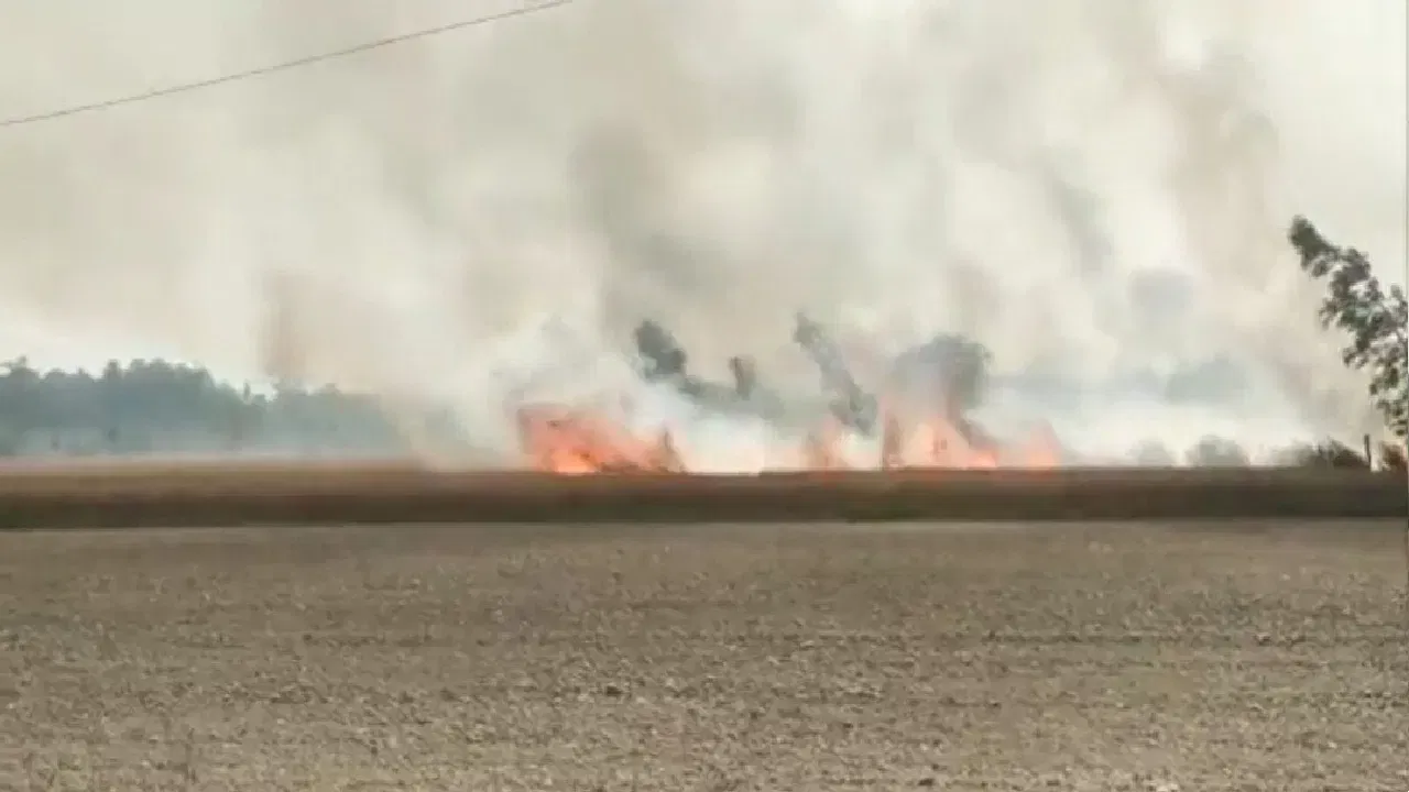 വേനൽച്ചൂട് കടുക്കുന്നു: കണ്ണൂരിലും തൃശ്ശൂരിലും ഏക്കർ കണക്കിനു ഭൂമി കത്തി നശിച്ചു