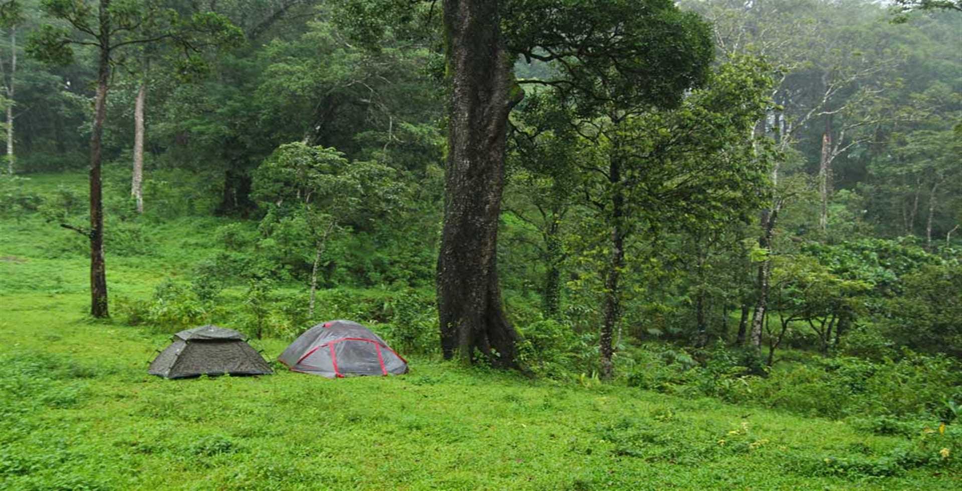 ഗവി പ്രകൃതി സൗഹൃദ പദ്ധതിയിലെ പ്രമുഖ സവിശേഷത അവിടത്തെ നാട്ടുകാര്‍ക്ക് തൊഴില്‍ നല്‍കുന്നു എന്നതാണ്. (ഫോട്ടോ കടപ്പാട് - gavi.kfdcecotourism.com)