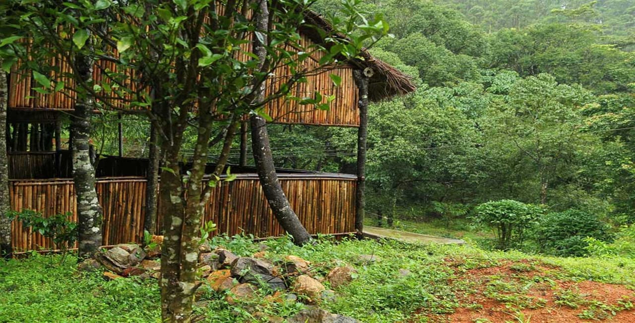 ഗവിയിലേക്കുള്ള പാതക്കിരുവശവും തേയില തോട്ടങ്ങളാണ്. മുണ്ടക്കയം, കുട്ടിക്കാനം, പീരുമേട്, വണ്ടിപ്പെരിയാര്‍ എന്നിങ്ങനെ ഗവിയിലേക്കുള്ള വഴിയിലും ആകര്‍ഷണീയമായ സ്ഥലങ്ങളുണ്ട്. (ഫോട്ടോ കടപ്പാട് - gavi.kfdcecotourism.com)