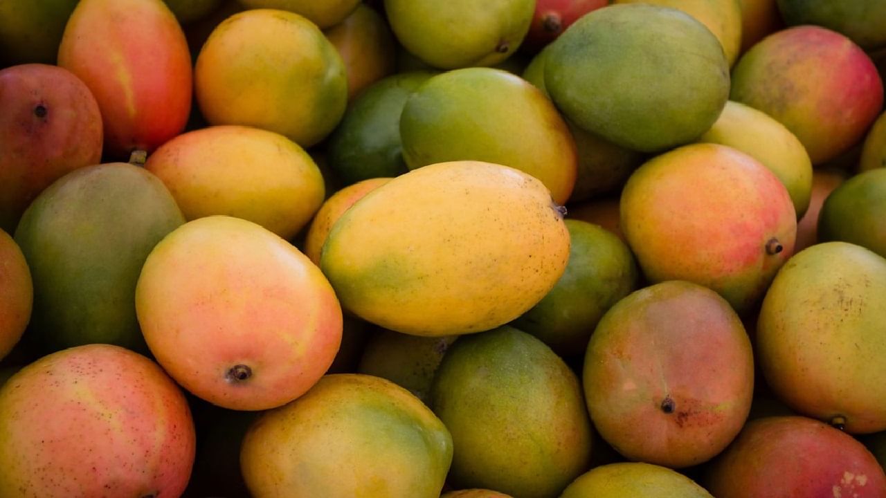 ഇതിലേക്ക് പഞ്ചസാര പൊടിച്ചതും പാല്പ്പൊടിയും ചേര്ക്കുക. ഈ മിശ്രിതം കുറുകി വരുമ്പോള് നെയ്യ് ചേര്ക്കാം.