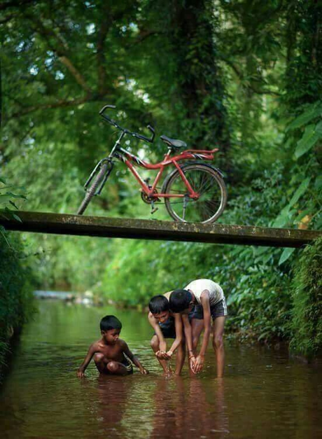 സ്കൂൾ തുറക്കുന്നതിന്റെ ആഴ്ചകൾക്കു മുമ്പേ മഴയെത്തിയിട്ടുണ്ടാകും. മാമ്പഴക്കാലത്തിൻ്റെ അവസാനമെത്തുന്ന മഴയിൽ വഴിയും പുഴയും നിറയും. നിറയുന്ന പറമ്പിന്റെ അതിരുകളിലെ കൈത്തോടുകളിൽ തോർത്തുമായി മീൻ പിടിക്കാനും കളിക്കാനും എത്തുമ്പോൾ കൂടെ കൗതുകം നിറച്ച കണ്ണുമായി മുതിർന്ന കുട്ടികളുടെ പ്രവർത്തികൾ നോക്കിയിരിക്കുന്ന സംഘത്തിലെ ഇളയവർ ഒരു കാഴ്ച തന്നെയാണ്. ( ഫോട്ടോ കടപ്പാട് - pinterest)