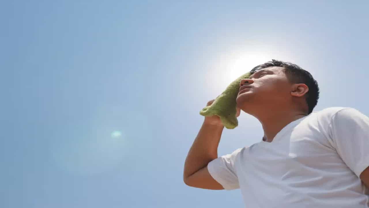 Summer Tips: എങ്ങനെ നേരിടണം ഈ കൊടും ചൂടിനെ; ഇക്കാര്യങ്ങള് ശ്രദ്ധിച്ചേ മതിയാകൂ Summer Tips: എങ്ങനെ നേരിടണം ഈ കൊടും ചൂടിനെ; ഇക്കാര്യങ്ങള് ശ്രദ്ധിച്ചേ മതിയാകൂ
