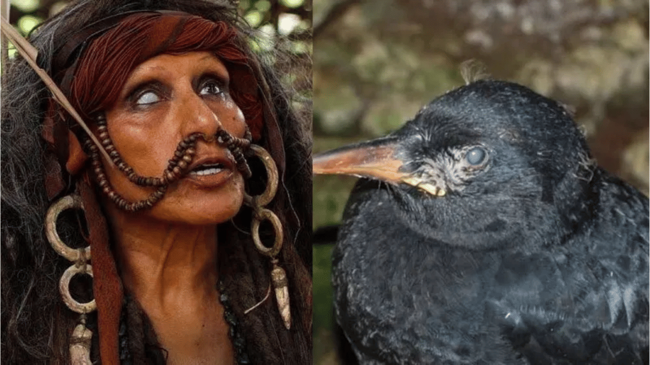 Mysterious Village: ‘ഗു​രു’ ചിത്രത്തെ ഓർമ്മിക്കുന്ന ഒരു ​ഗ്രാമം…: മനുഷ്യർ മാത്രമല്ല ഇവിടെ മൃഗങ്ങളും അന്ധരാണ്