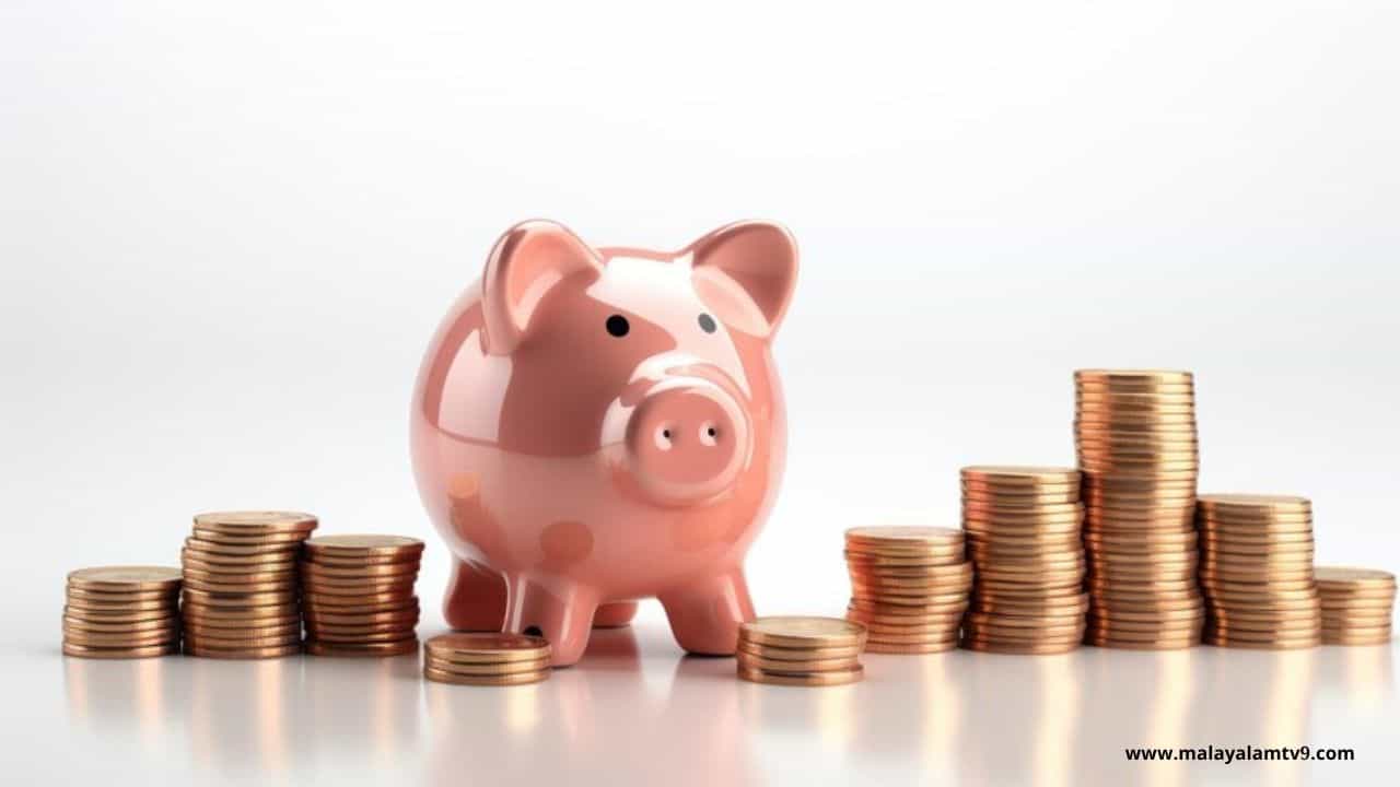 EPF Interest: പിഎഫ് പലിശ എന്ന് ലഭിക്കും? എങ്ങനെ അറിയാം?