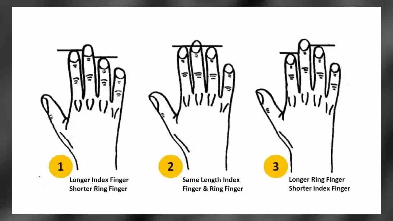 Finger Personality: വിരലുകള് നിങ്ങളുടെ സ്വഭാവം പറയും; എങ്ങനെ? പരിശോധിക്കാം Finger Personality: വിരലുകള് നിങ്ങളുടെ സ്വഭാവം പറയും; എങ്ങനെ? പരിശോധിക്കാം