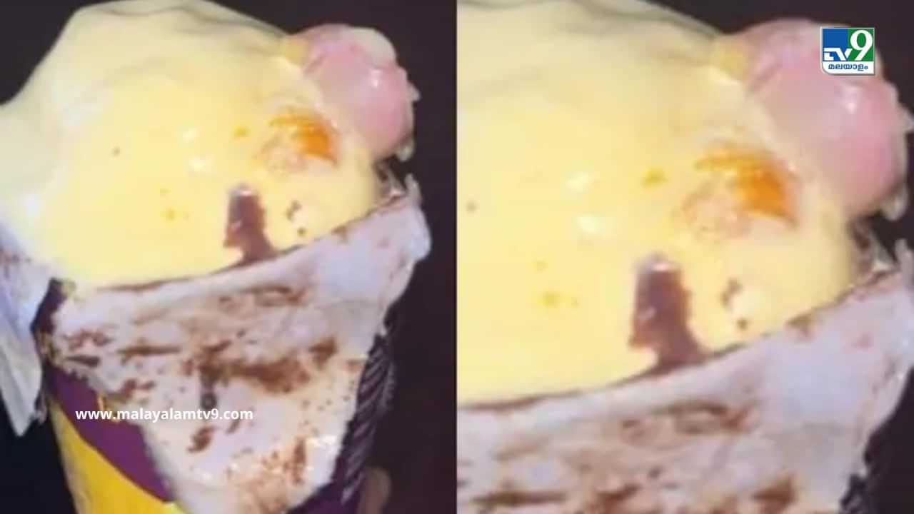 Human Finger in Ice-cream: ഐസ്‌ക്രീമില്‍ നിന്ന് കിട്ടിയത് മനുഷ്യന്റെ വിരല്‍; പരാതിയുമായി യുവതി