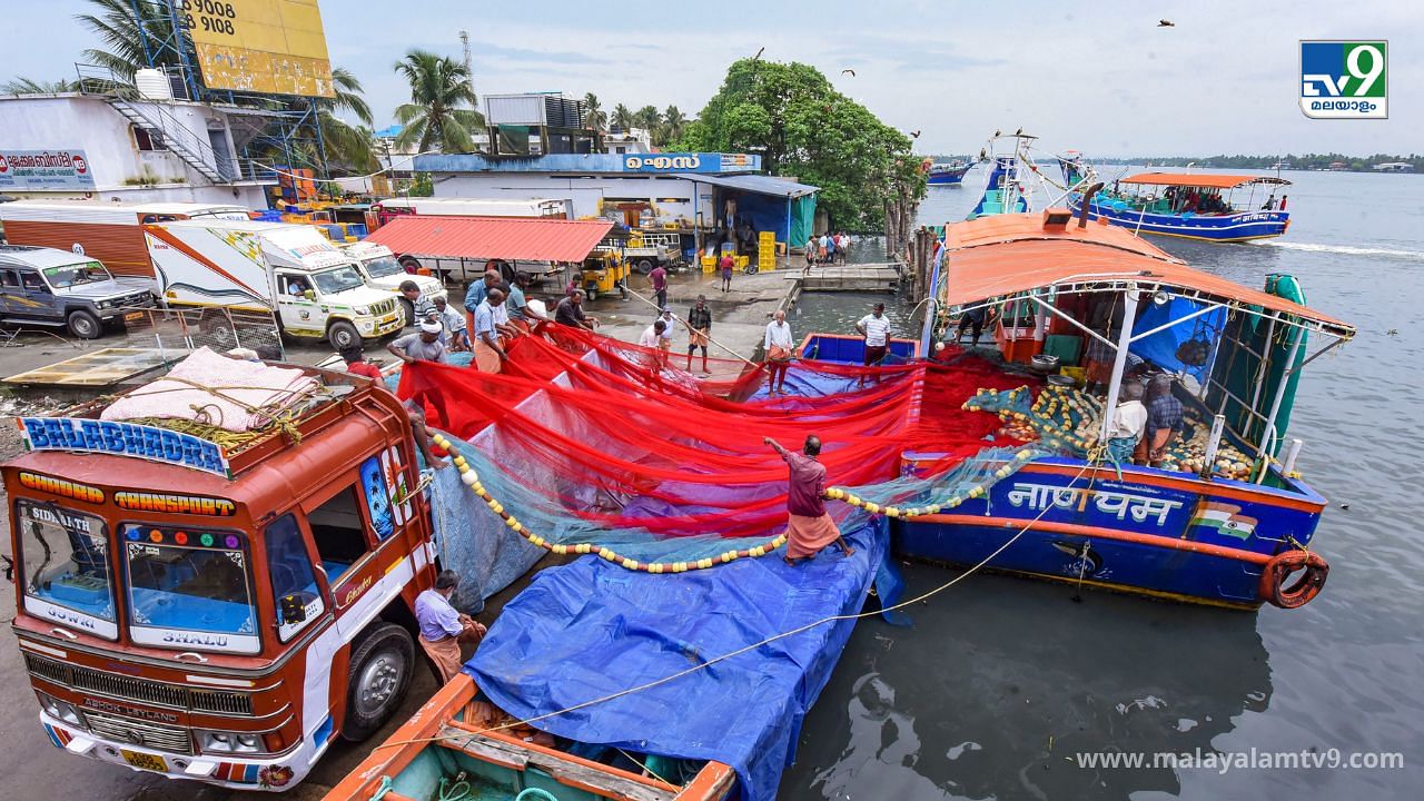 Kerala Trawl Ban: ഇനി മീൻ കിട്ടില്ലേ? 52 ദിവസം ട്രോളിങ്ങ് നിരോധനം എന്തിന്