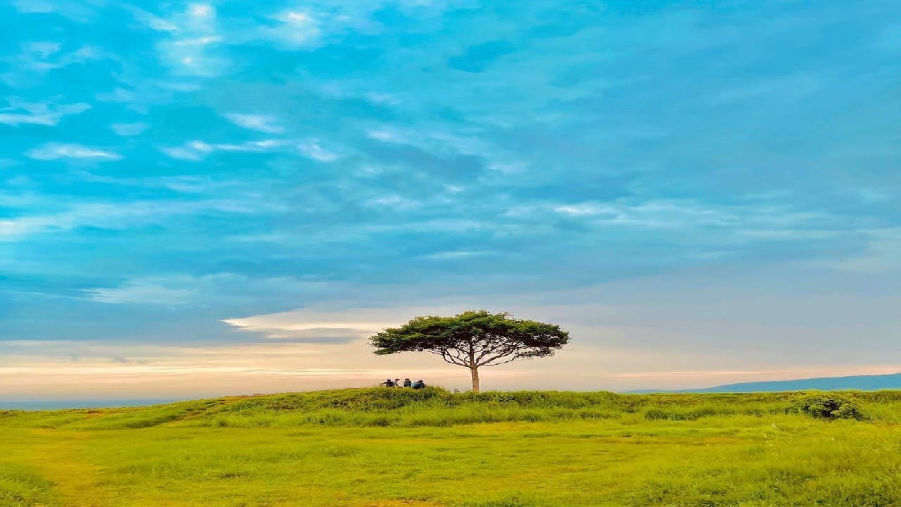 കണ്ണൂര്‍ നഗരത്തില്‍ നിന്നും മാറി 30 കിലോമീറ്റര്‍ അകലെ പഴയങ്ങാടിയിലാണ് മാടായിപ്പാറയുള്ളത്. 700 ഏക്കറില്‍ വ്യാപിച്ചു കിടക്കുന്ന പ്രകൃതി തീര്‍ത്ത വിസ്മയം എന്നുതന്നെ വിശേഷിക്കാം മാടായിപ്പാറയെ.
