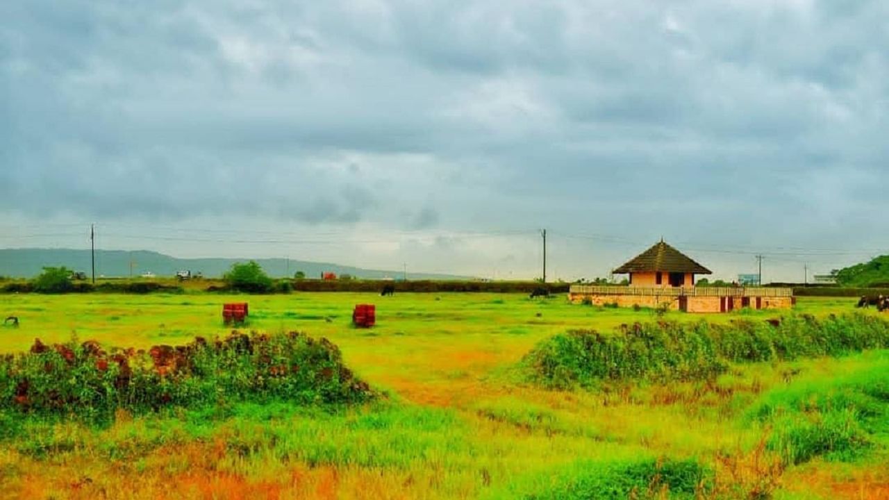 ഏഴിമാല രാജ്യത്തിന്റെ ഭരണ കേന്ദ്രം കൂടിയായിരുന്നു ഇവിടം. വല്ലഭ രാജാവ് നിര്മ്മിച്ച ഗംഭീരമായ മാടായികോട്ടയും ഇവിടെ കാണാം.