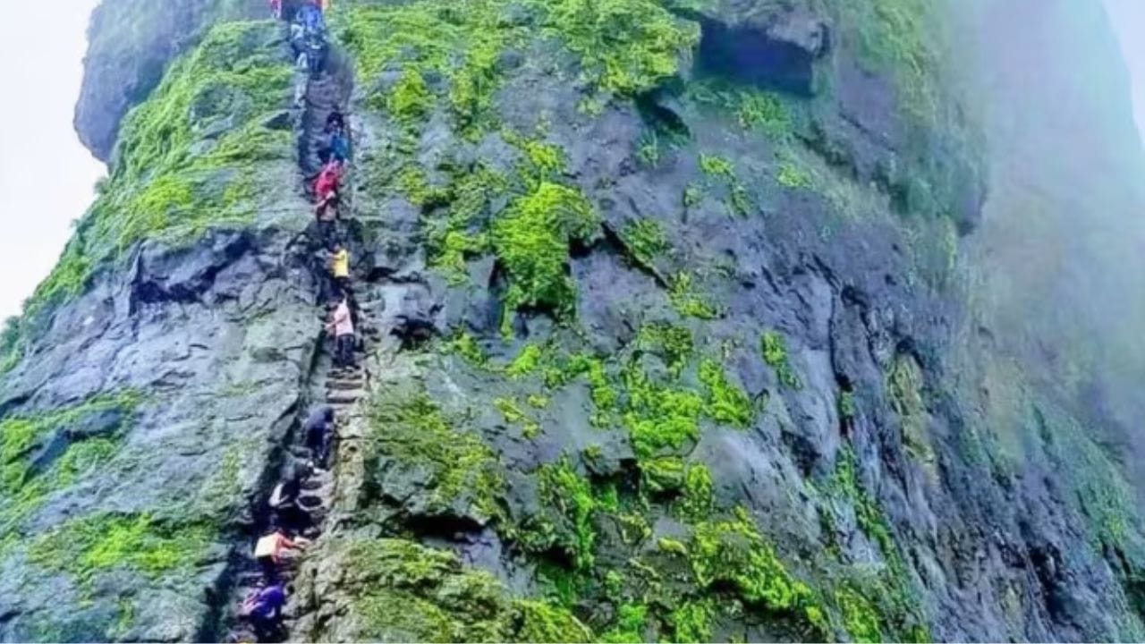 ഹരിഹർ ട്രെക്ക് മഹാരാഷ്ട്രയിലെ ഏറ്റവും മികച്ച ട്രെക്കുകളിൽ ഒന്നാണ്. സമുദ്രനിരപ്പിൽ നിന്ന് 3676 അടി ഉയരത്തിലാണ് ഹരിഹർ ഫോർട്ട് ഉള്ളത്.