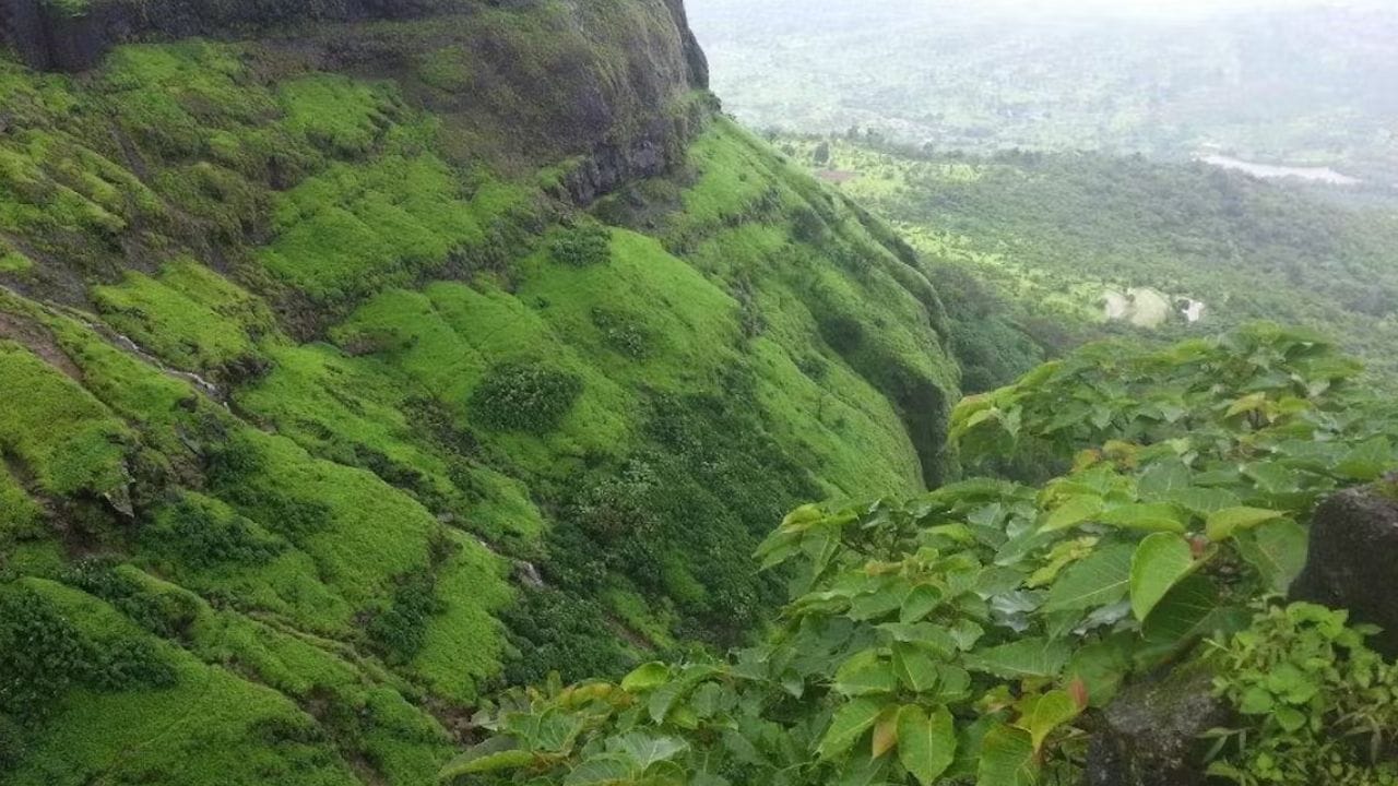3,556 അടി ഉയരത്തിലുള്ള ട്രക്കിങ് സ്പോട്ടാണ് വിസാപ്പൂർ ഫോർട്ട്. 1713-1720 കാലഘട്ടത്തിൽ മറാത്ത സാമ്രാജ്യത്തിലെ ആദ്യ പേഷ്വാ ആയിരുന്ന ബാലാജി വിശ്വനാഥാണ് വിസാപൂർ കോട്ട നിർമ്മിച്ചത്.