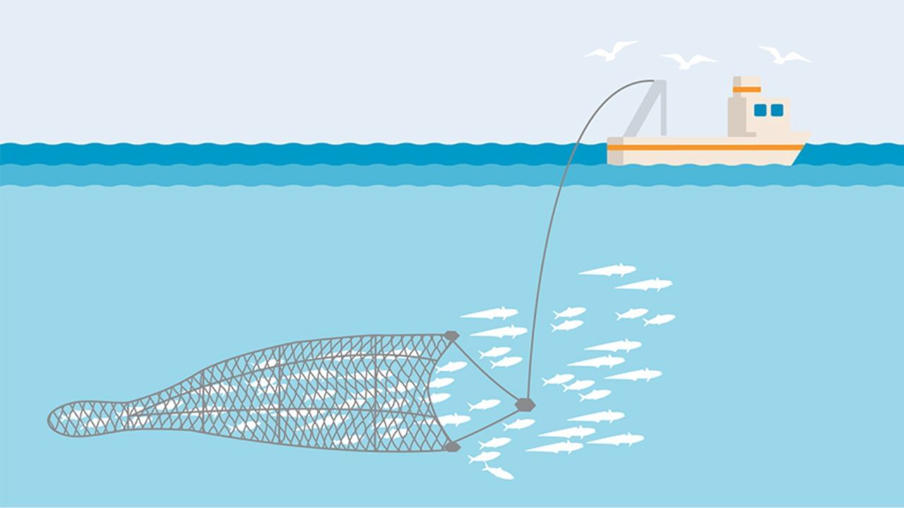 നിരോധനകാലത്ത് തീരത്തു നിന്നും22 കിലോമീറ്റർ ദൂരെ വരെ മത്സ്യബന്ധനം അനുവദിക്കില്ല. എന്നാൽ പരമ്പരാഗത മത്സ്യത്തൊഴിലാളികൾ ഉപയോഗിക്കുന്ന ഇൻബോർഡ് ഔട്ട്‌ബോർഡ് വള്ളങ്ങൾക്ക് ഈ നിയമം ബാധകമല്ല.