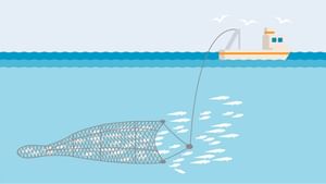 Trawl Ban : ട്രോളിങ് നിരോധനം എന്തിന്? കാരണങ്ങൾ ഇവ Trawl Ban : ട്രോളിങ് നിരോധനം എന്തിന്? കാരണങ്ങൾ ഇവ