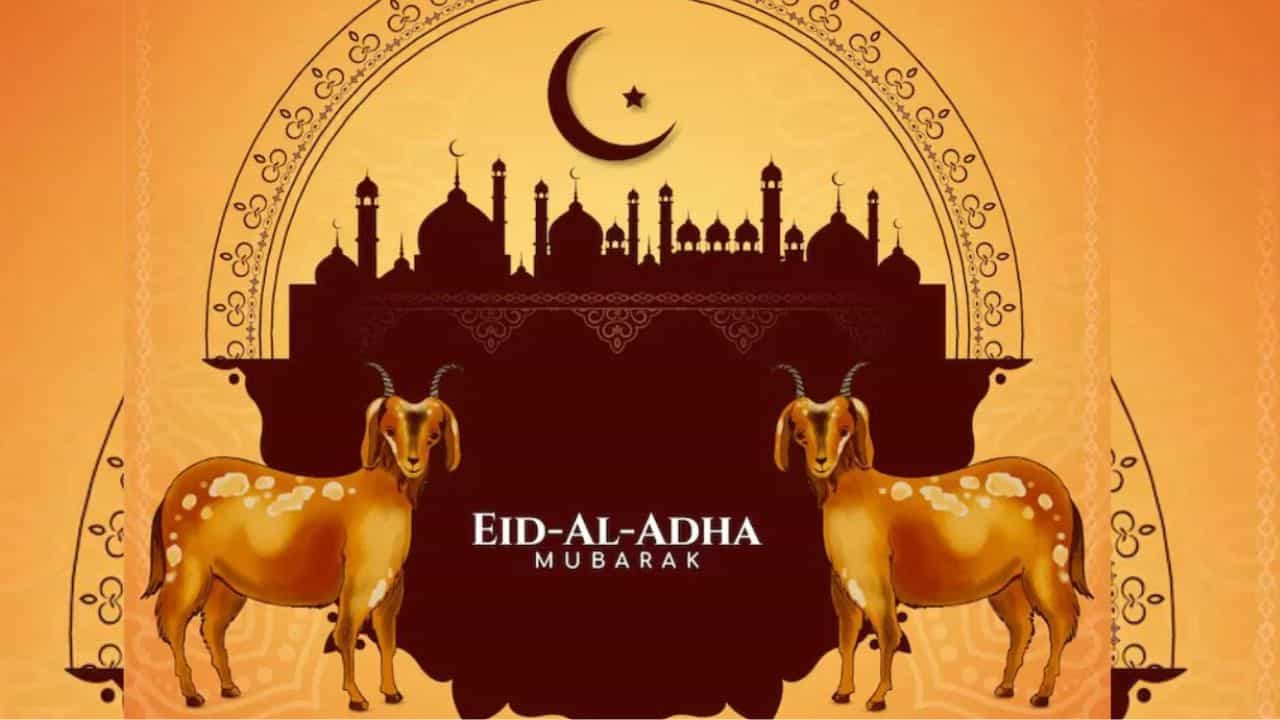 Bakrid: ഇന്ന് ബലി പെരുന്നാള്; ത്യാഗത്തിന്റെയും സഹനത്തിന്റെയും സ്മരണയില് വിശ്വാസികള് Bakrid: ഇന്ന് ബലി പെരുന്നാള്; ത്യാഗത്തിന്റെയും സഹനത്തിന്റെയും സ്മരണയില് വിശ്വാസികള്