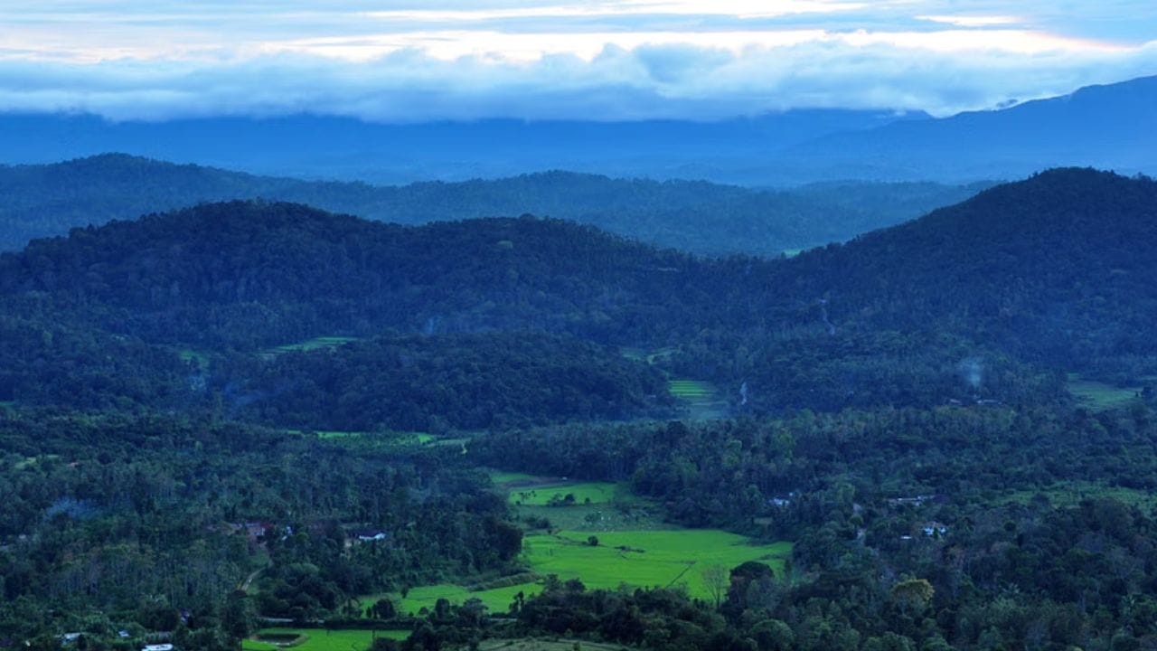 പ്രകൃതിരമണീയമായ സ്ഥലമാണ് നിസര്‍ഗധാമം. കാവേരി നദിയിലുള്ള ഒരു ദ്വീപാണിത്. കുശാല്‍ നഗറില്‍ നിന്നും മൂന്നു കിലോമീറ്റര്‍ സഞ്ചരിച്ചാല്‍ ഇവിടെയെത്താം. 35 എക്കറിലായി പന്നുകിടക്കുന്ന ഇക്കോളജിക്കല്‍ പാര്‍ക്കാണ് ഇവിടം. 