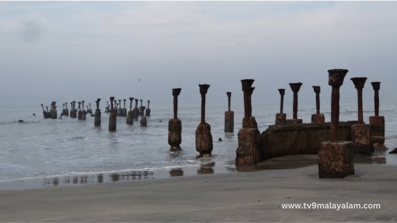 കോഴിക്കോട് എൻഐടി, വിവിധ സ്ഥാപനങ്ങൾ, കൂട്ടായ്മകൾ എന്നിവരെല്ലാം പ്രവർത്തനങ്ങളുടെ ഭാഗമായിട്ടുണ്ട്. സാഹിത്യത്തിന്റെയും സാംസ്കാരിക പരിപാടികളുടെയും മുഖമായി മാറിയ കോഴിക്കോടിന് കിട്ടിയ അംഗീകാരമാണ് യുനെസ്കോയുടെ സാഹിത്യനഗരം എന്ന പദവി.