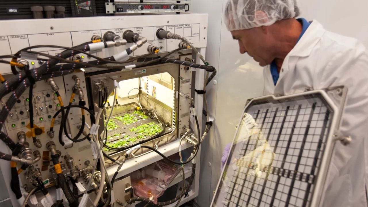 മനുഷ്യന്റെ കരങ്ങള്‍ ശൂന്യാകാശത്തും പ്രവര്‍ത്തിച്ചു തുടങ്ങിയിട്ട് കാലമേറെ ആയി. അവിടെ കൃഷി തുടങ്ങിയതായും വാര്‍ത്തകള്‍ നാം കേട്ടു. (PHOTO : NASA)